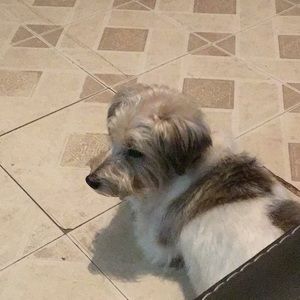 Meet your Posher, Claudia